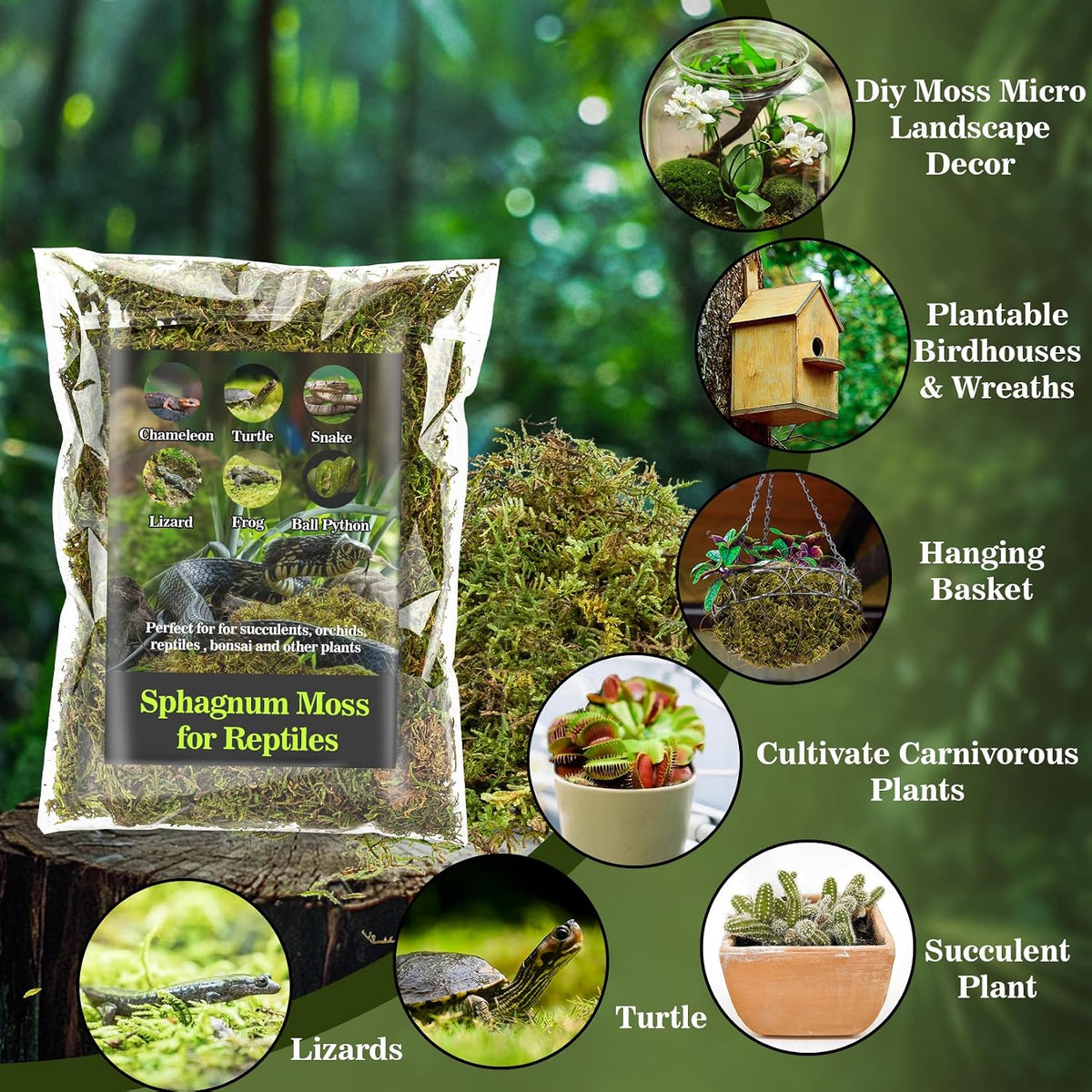 Sukh Sphagnum Moss for Reptiles, Green Terrarium Moss Substrate - 15.8 Ounces / Green - image 3
