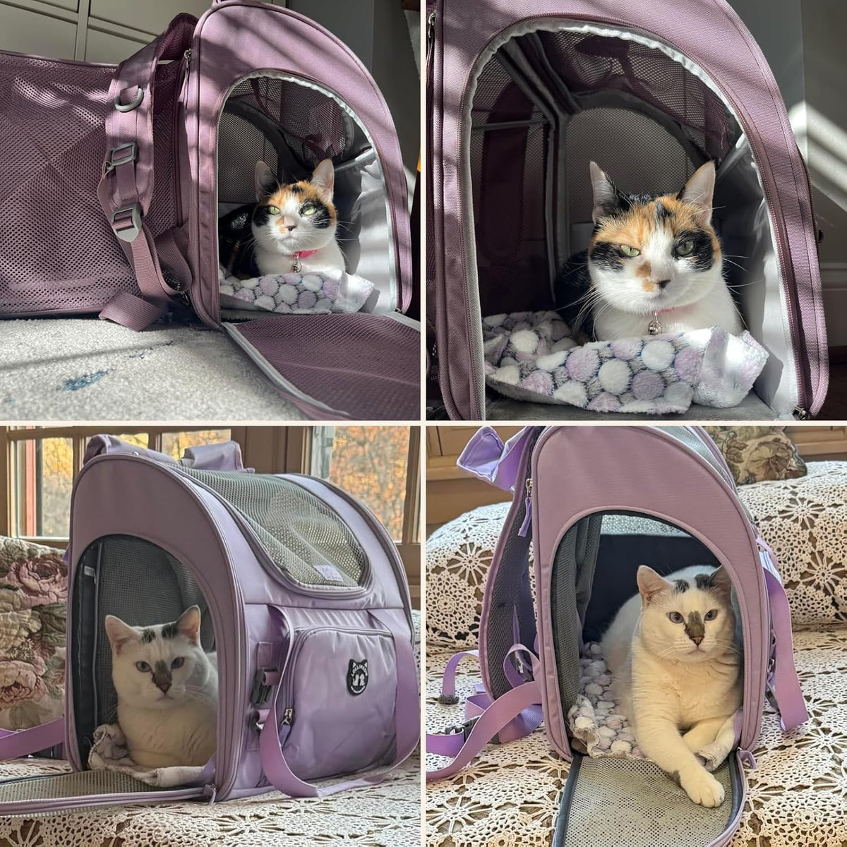 Expandable Large Cat Carrier Backpack, Supports up to – Essentials for Dogs - 16.5"L x 9.0"W x 13.4"H / Lavender - image 3