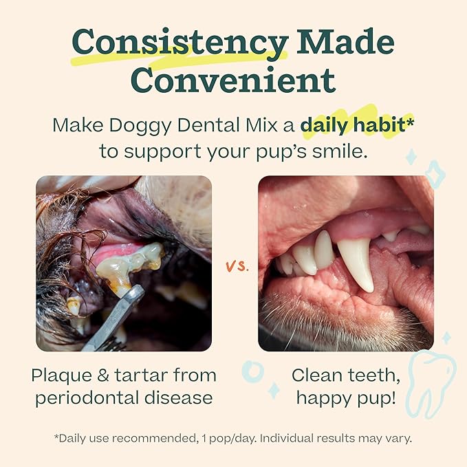 WOOF Dental Kit- Includes Pupsicle Dog Toy, Treat Tray, Shaker Bottle, Chicken Pupsicle Pops, and Dog Teeth Cleaning Powder - Supports Oral Health for Dogs - XL