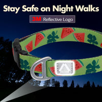 Medium Dog Collar, Neck 12"-20" - Large (Neck 16’’-25’’) / Watermelon - image 4