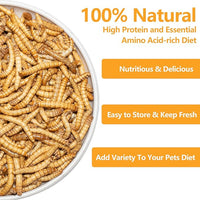 Freeze Dried Mealworms 6 Oz - High Protein Pet Food for Reptiles, Bearded Dragons, Birds & Hedgehogs - Nutrient-Packed Treat for Lizards, Geckos, Turtles, Chickens