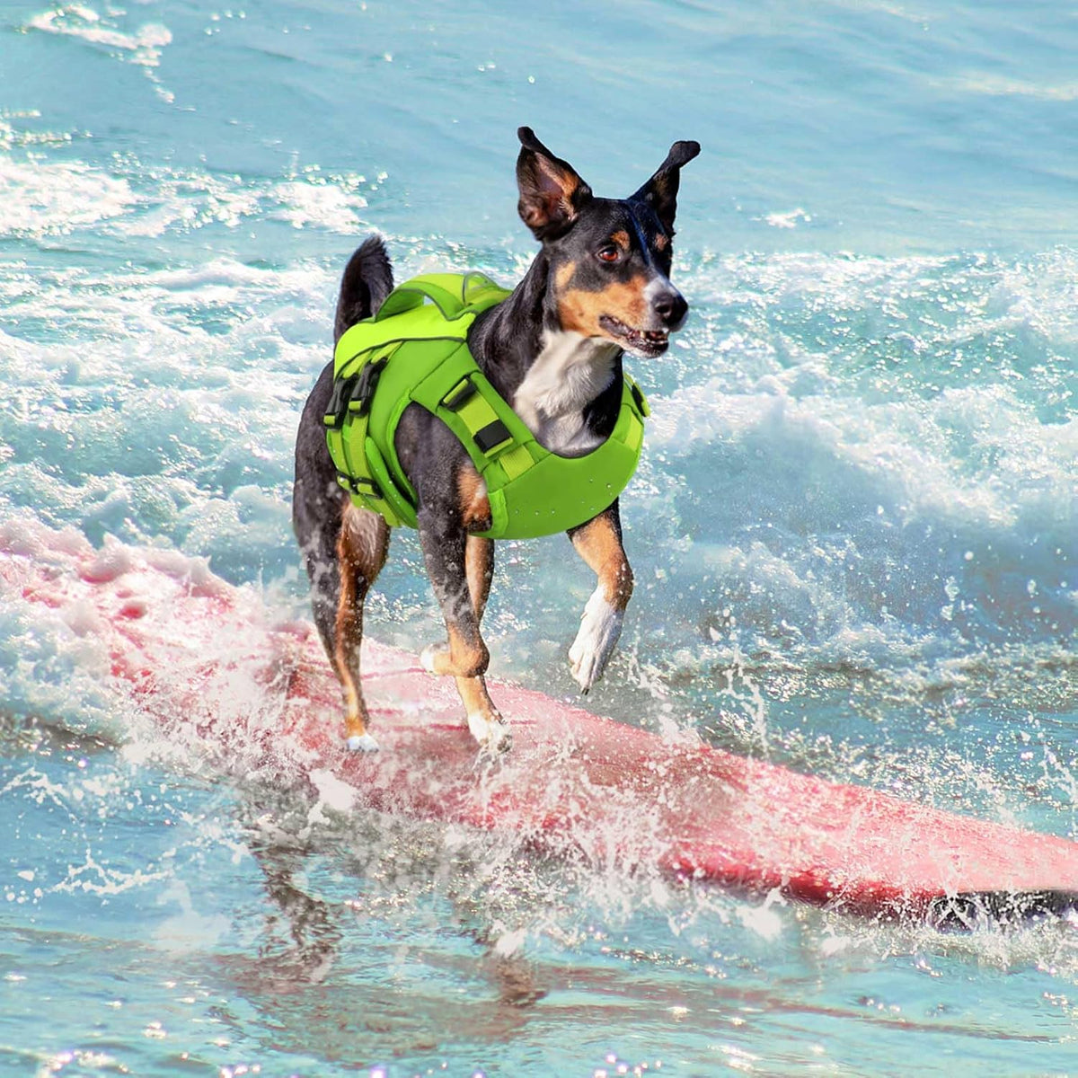 Dog Life Jacket Medium,Ripstop Dog Flotation Vest for Medium Dogs – Essentials for Dogs - Medium / Green - image 4