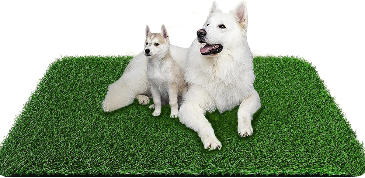 Fake Grass Pad for Dogs Potty Training Artificial Turf - 39.4x31.5 Inch / Green