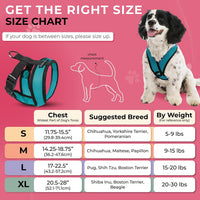Gooby Comfort X Head-in Dog Harness, Choke-Free - Medium Chest (14.25-18.75") / Turquoise - image 3