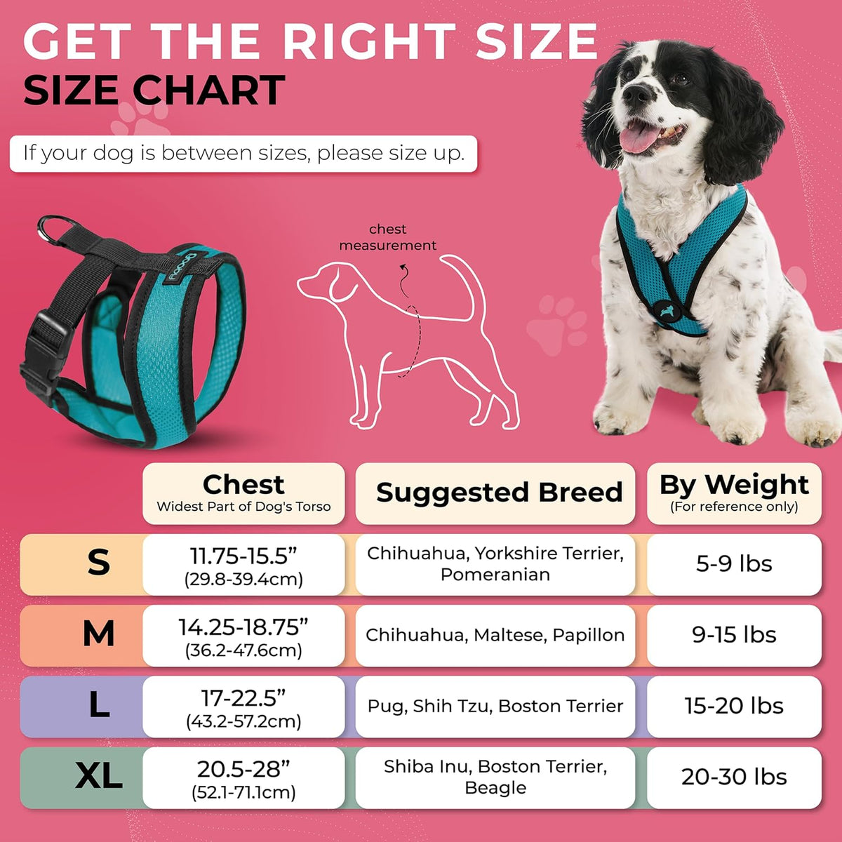 Gooby Comfort X Head-in Dog Harness, Choke-Free - Medium Chest (14.25-18.75") / Turquoise - image 3