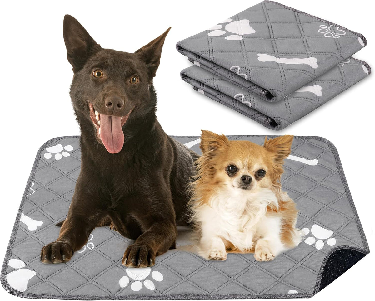 PatiencET Self Warming Cat Bed for Indoor Cats 18'' x 24'' - Bone&paw / 18*24