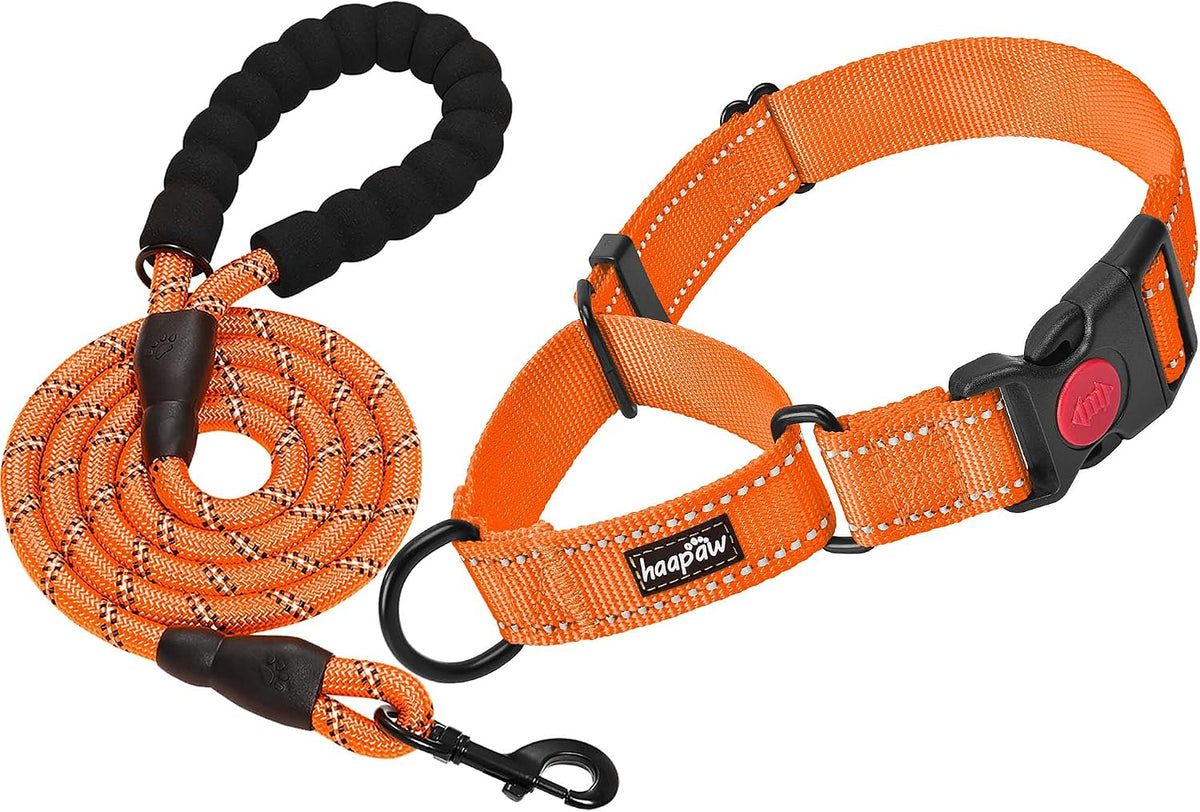 Haapaw Escape-Proof Martingale Dog Collar - Orange / M / 1 Collar + 1 Leash