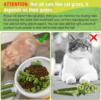 30g Cat Grass Sticks, Delicious Cat Grass Teething Stick Edible Cats Chew Toy Cat Treats Snack for Teeth Cleaning and Hairball Removal
