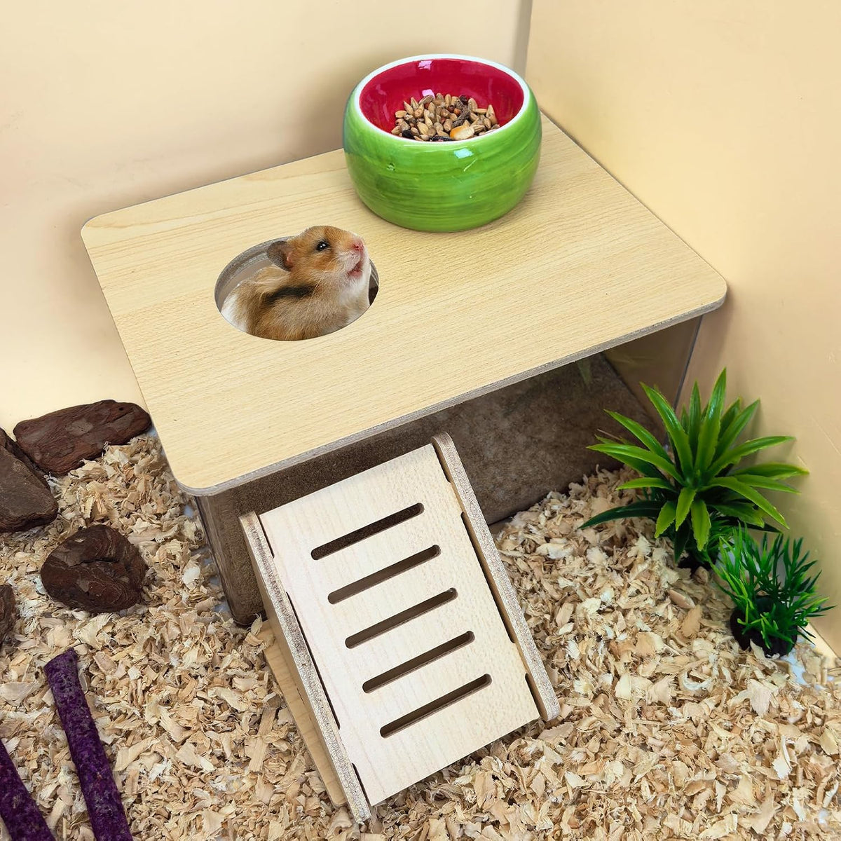 Extra Large Wood Hamster Sand Bath Box Small Animals Bathroom - Rectangle - image 3