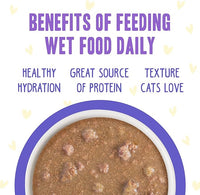 Weruva B.F.F. OMG - Best Feline Friend Oh My Gravy!, Chicken & Beef Be Happy with Chicken & Beef in Gravy, 2.8oz Can (Pack of 12)