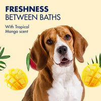 Arm & Hammer Heavy Duty Multipurpose Dog Wipes, Mango - 100 Count (Pack of 1) - image 3