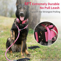 Strong Slip Rope Dog Training Leash - 1/2" x 6ft / Pink - image 2
