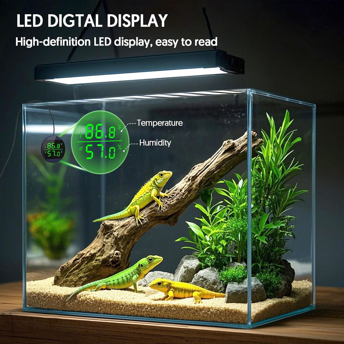 Reptile Thermometer and Humidity Gauge, Digital Display - Blue - image 3
