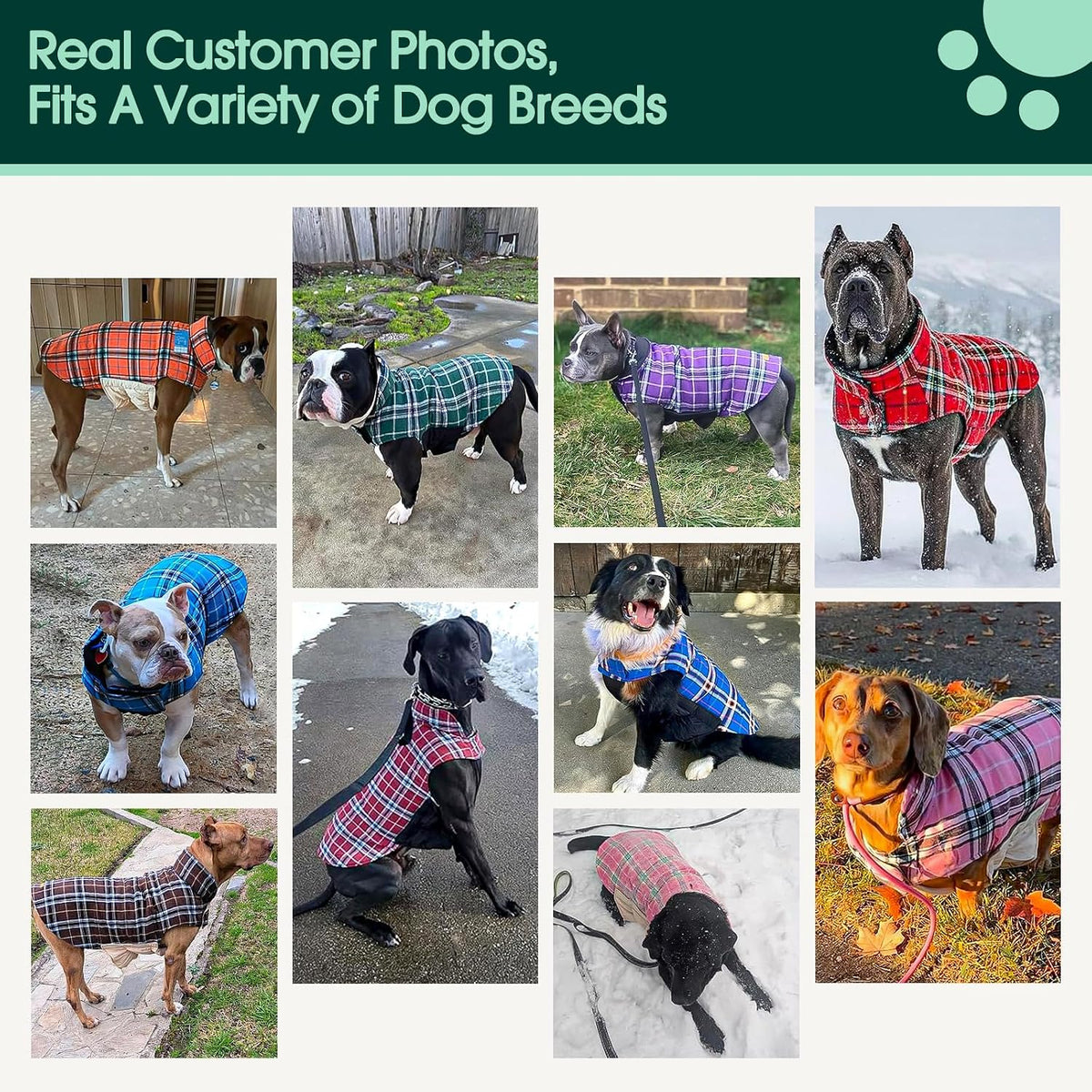 Kuoser Waterproof Dog Coat - New Brown / X-Large (Pack of 1) - image 3