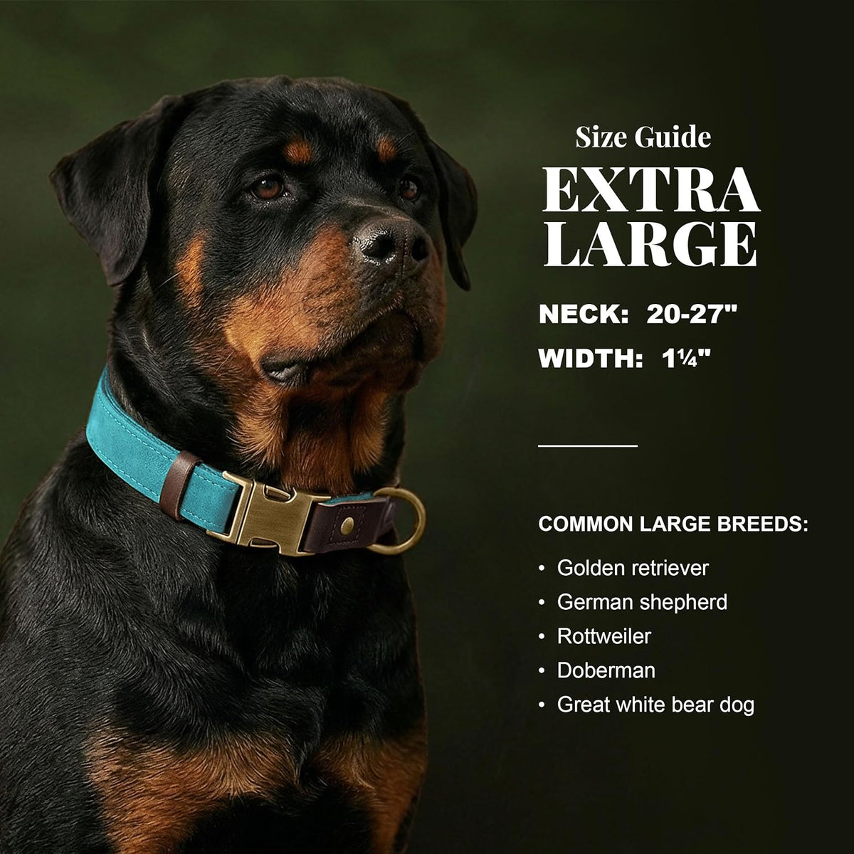 PU Leather Dog Collar for Small Dogs Puppy, Soft Lining, Green S – Essentials for Dogs - Light Blue / XL: Neck 20-27", Width 1¼" - image 3