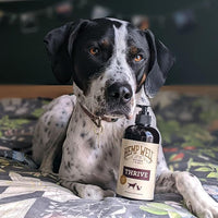 Hemp Well Thrive Oil for Dogs and Cats – Supports Hip, Joint, and Heart Health, Promotes Immune System, and Promotes Healthy Skin from Seasonal Allergies, Organically Sourced - 8 Ounces