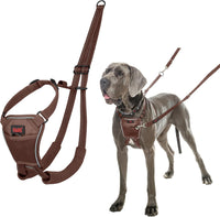 Halti No Pull Dog Harness, Size M - Deep Walnut / L