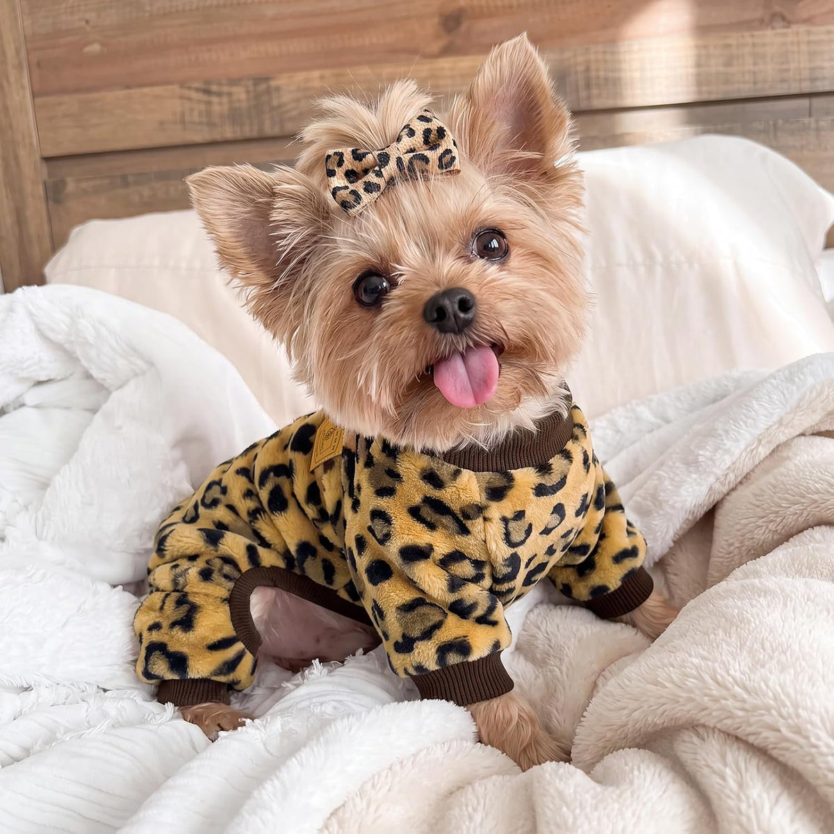 Cow Dog Sweater, Dog Winter Clothes for Small Medium Dogs Girl Boy Fleece Pet Pajamas for Winter - Leopard / Medium(Weight:7-11lb, Chest:15-16.9") - image 3