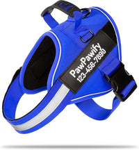 PawPawify Custom No Pull Dog Harness with Name and Phone Number, Heavy Duty Personalized Pet Vest to Prevent Tugging, Pulling, or Choking, Training and Walking (New Blue, S (10-19LBS))