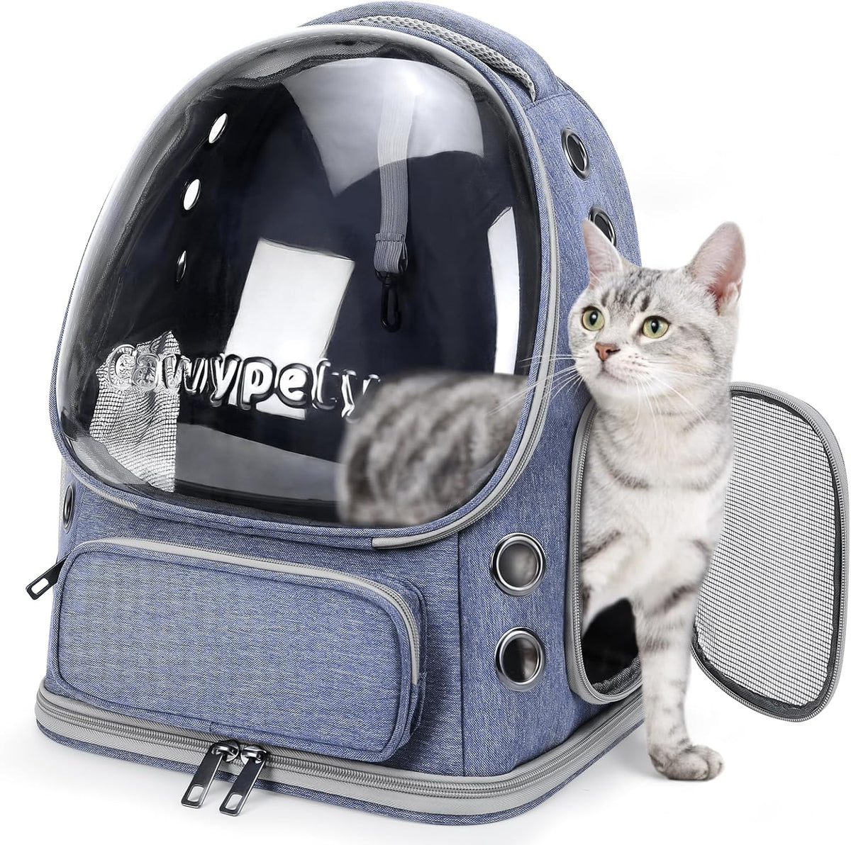 Cat Backpack Carrier, Breathable Cat Carrier Large Space Bubble Pet Backpack for Kitty Small Dog up - Blue