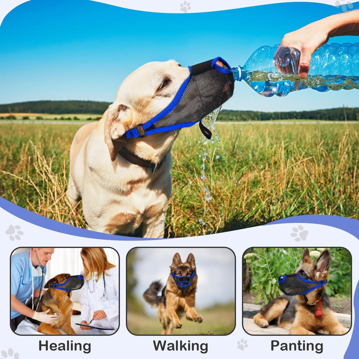 Dog Muzzle, Soft Air Mesh Muzzles for Medium Sized Dogs - Blue / S - image 3