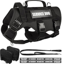 WINSEE Tactical Dog Harness with Dog Leash - Large / Black