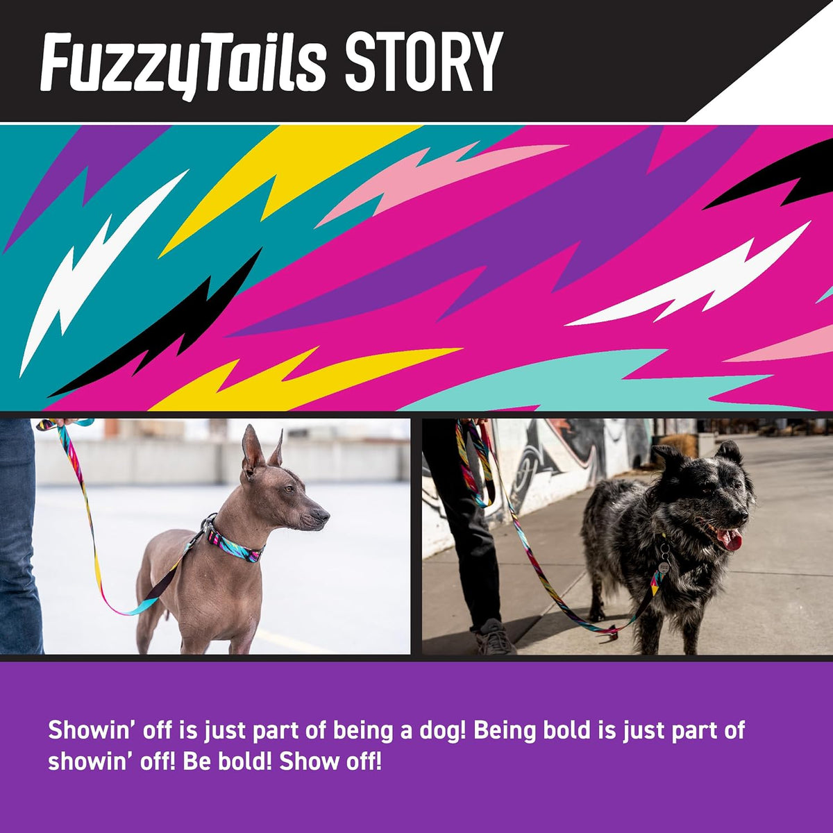 Wolfgang Heavy Duty Martingale Dog Collar with Quick Release Nylon - FuzzyTails Print / Small (5/8 Inch x 10-12 Inch) - image 2