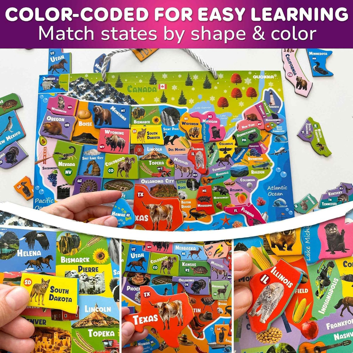 US Map Puzzles for Kids Ages 4-6 - Magnetic USA Puzzle - image 4