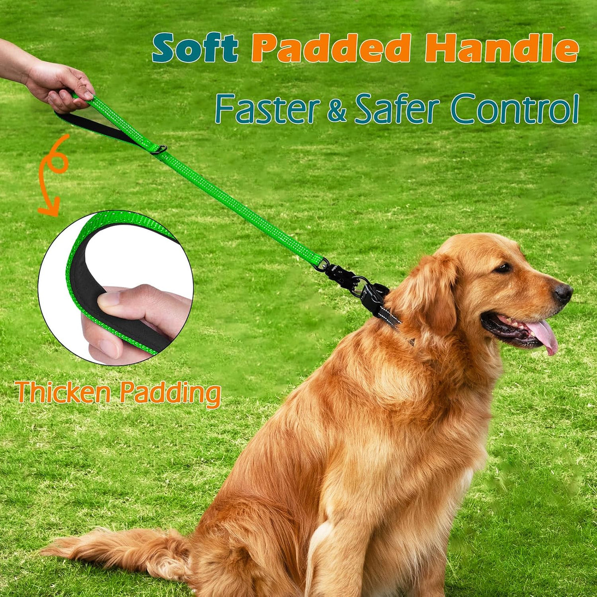 Heavy Duty Short Dog Leash - Grass Green / 24 Inch - image 3