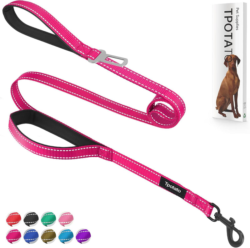 6 Foot Fuchsia Dog Leashes for Large Medium and Small Breed Dogs That - Fuchsia