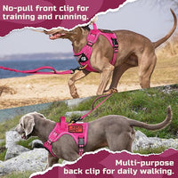 rabbitgoo Tactical Dog Harness for Large Dogs, No Pull Military Service Vest with Handle & Molle, Easy Control for Training Walking, Adjustable Reflective Straps, Rose Red, L