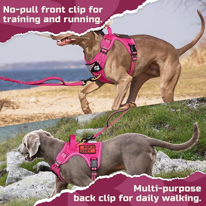 rabbitgoo Tactical Dog Harness Medium Sized Dog, No Pull Military Service Vest with Handle & Molle, Easy Control for Training Walking, Adjustable Reflective Straps, Rose Red, M