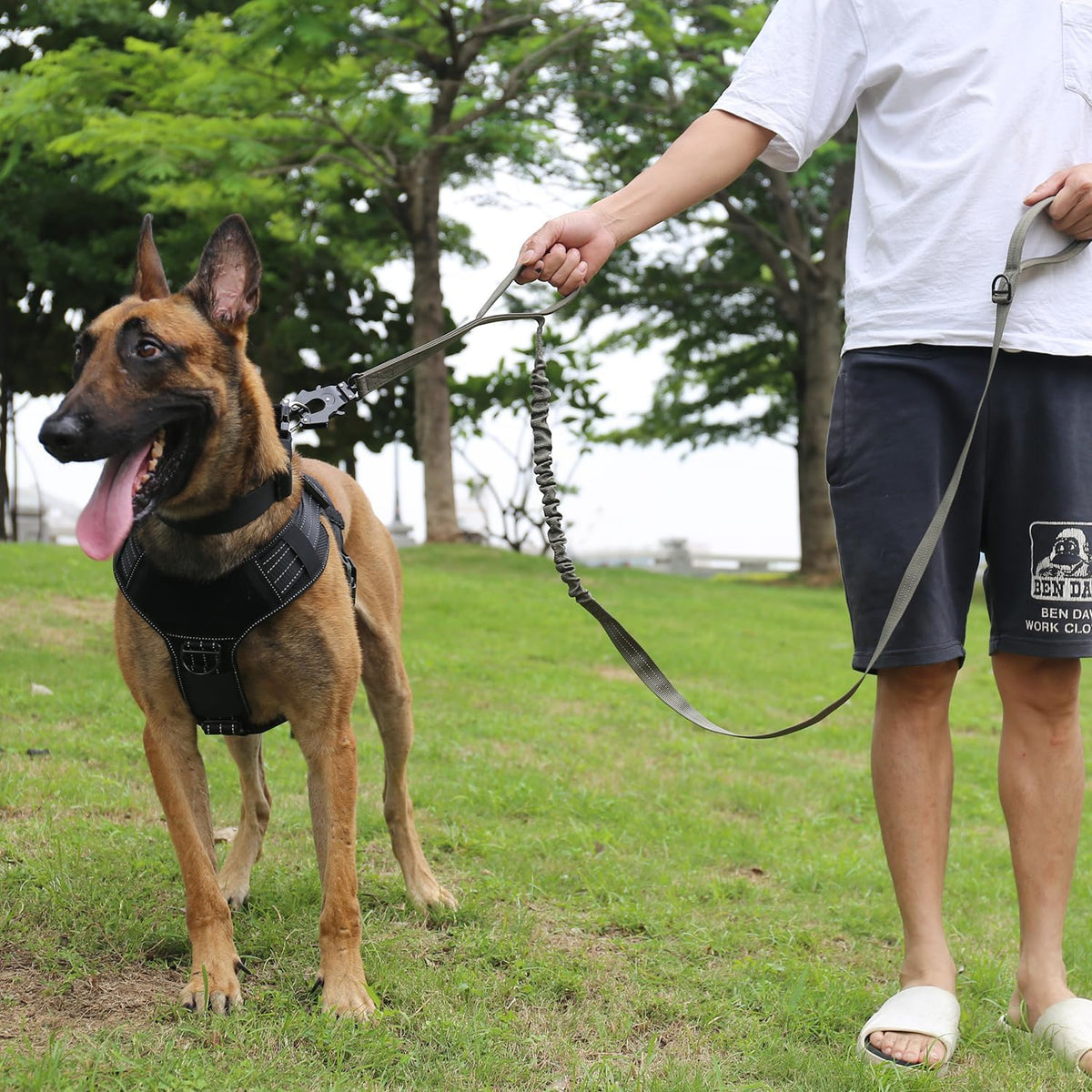 Tactical Dog Leash with Quick-Release Metal Clasp - 6 FT / Reflective Green - image 2