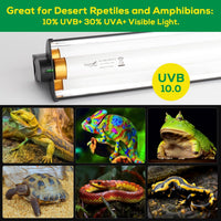 T5 UVB Reptile Light Fixture HO UVB Bulb Lighting Combo Kit - T5-12 Inch - image 3