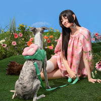 VETRESKA Flora Dog Harness, Leash and Collar Set - M - image 4