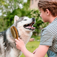 TAKAVU Short Hair Dog & Cat Deshedding Brush - Double Sided Grooming Tool with Silicone Massage & Bristle Sides - Removes Loose Fur & Dirt - Wood Handle