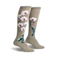 Orchids