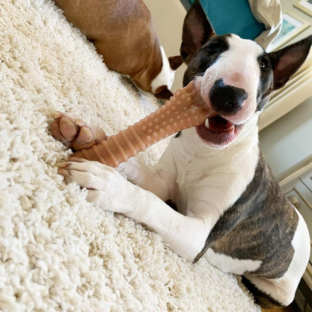 Nylabone Power Chew Original Bone Dog Chew Toys - Bacon / X-Large - image 2