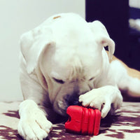 Heart on a String Dog Toy - Durable Rubber Tug Toy for Large Dogs | USA Made - BIG FRENCHIES