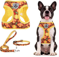 PUPTECK Dog Harness, Collar and Leash Set No Pull for Small Medium Sized – Essentials for Dogs - Brown&Yellow (Fall) / L (CHEST 18"-20") / Patterned Harness Collar and Leash Set