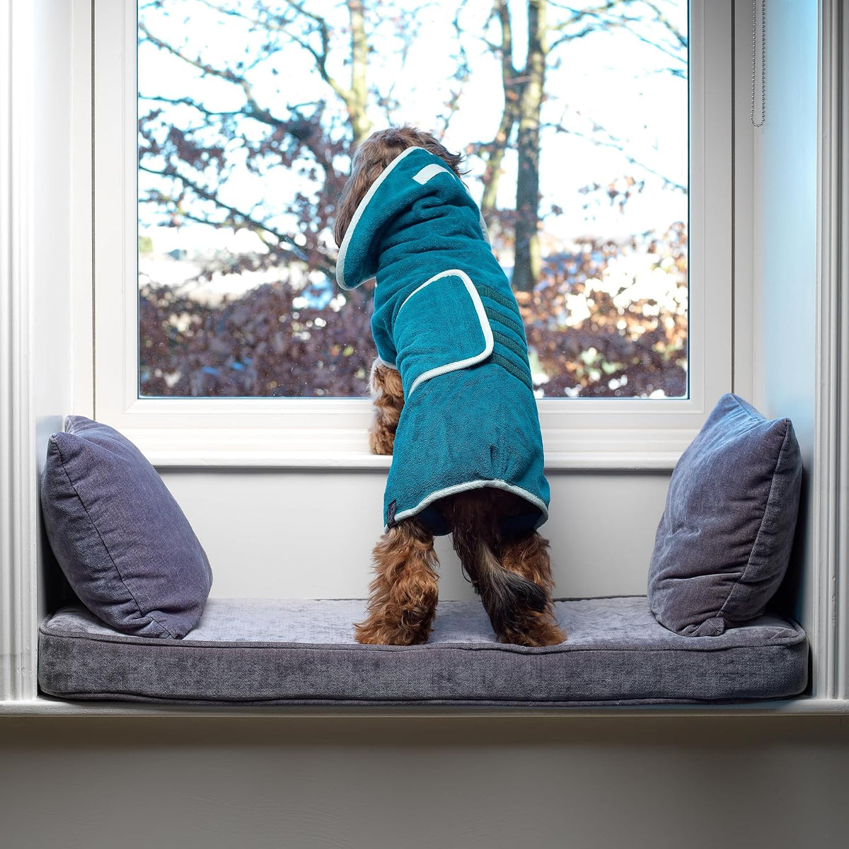 Lucky Pooch Dog Robe, Luxurious Dog Bathrobe - XL / Teal - image 3
