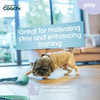Coachi Puppy & Mini Tuggi Tug, Dog Toy for Tug of War & Play - Tuggi Ball - image 2