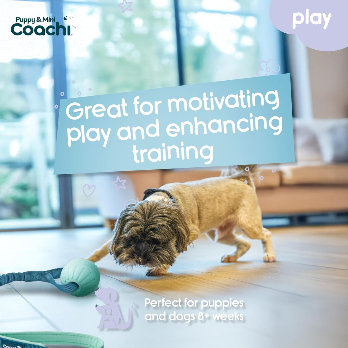 Coachi Puppy & Mini Tuggi Tug, Dog Toy for Tug of War & Play - Tuggi Ball - image 2