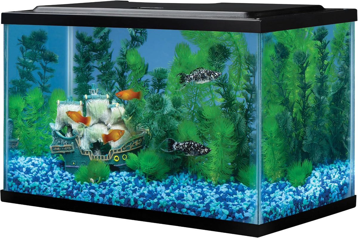 Tetra 5.5 Gallon Glass Aquarium, Rectangular Fish Tank – Essentials for Fish - 5.5 gallons