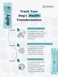 Daily Synbiotic Formula - A TriBiotic Blend with 6 Strains, B-Vitamins, and Digestive Enzymes in 30 Packs