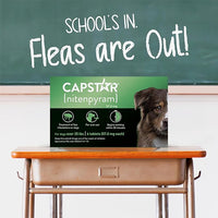 CAPSTAR Oral Flea Treatment for Dogs, Fast Acting Tablets Start Killing Fleas in 30 Minutes, Medium & Large Dogs (Over 25 lbs), 6 Doses