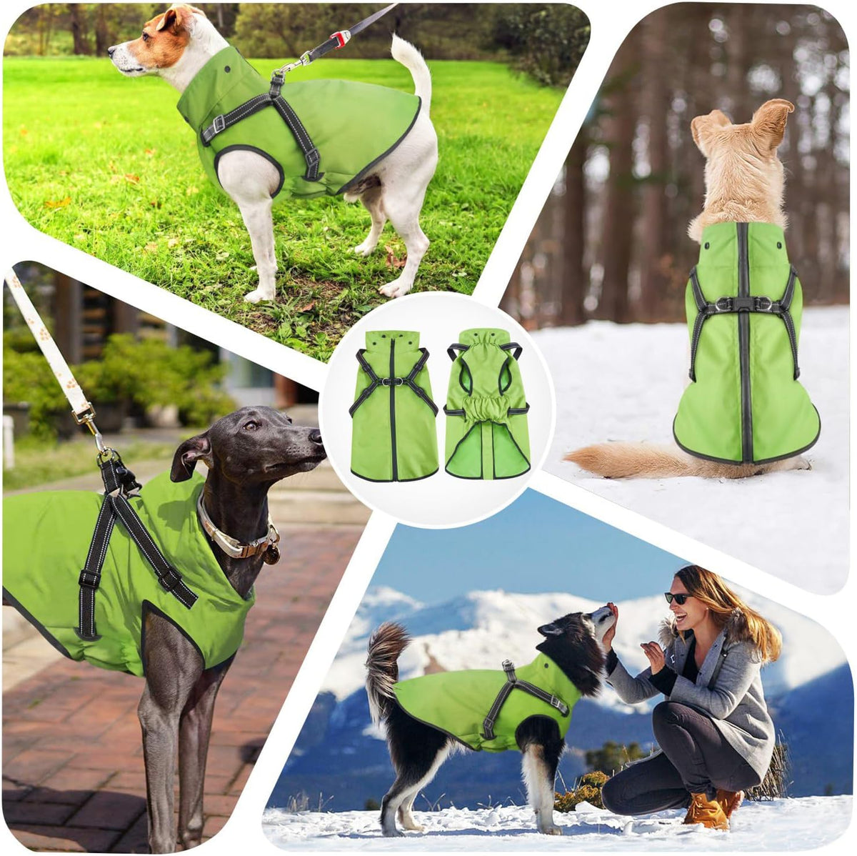 Dog Raincoat Waterproof Dog Hoodie Reflective Dog Raincoat Hooded - M / Green - image 4