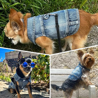 Puppy Clothes for Small Dogs Boy,Classic Western Denim Dog Coat,Dog Jeans Jacket with Leash D-Ring,Pet Cat Costumes,Cooling Harness Vest for Walking (Blue, X-Small)