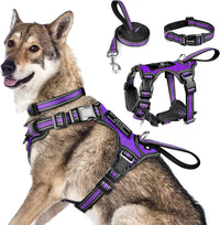 WINSEE Pet Harness Collar and Leash Set - X-Large / Purple