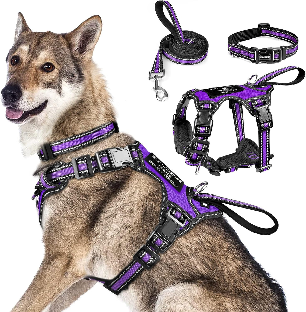 WINSEE Pet Harness Collar and Leash Set - X-Large / Purple
